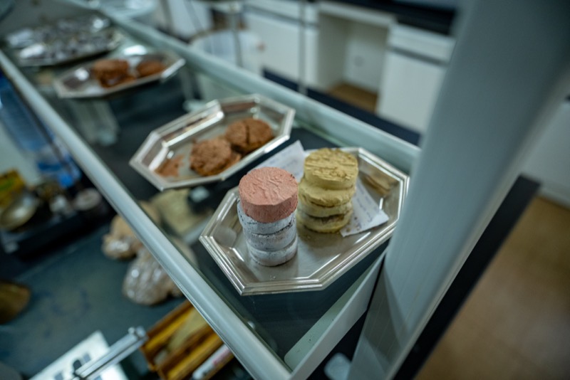 Prepared soil specimens set out in sample trays